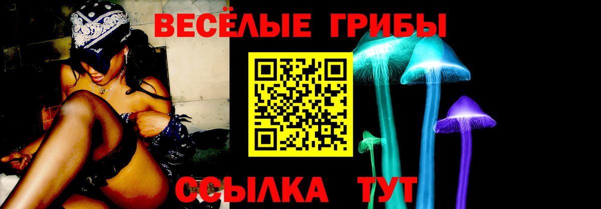 Псилоцибиновые грибы MAGIC MUSHROOMS Ивантеевка